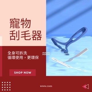 雙面刮條寵物刮毛器 寵物梳毛 寵物梳  貓梳子 貓咪梳毛 梳毛器 寵物針梳 貓咪梳毛器 除毛梳 寵物理-細節圖3