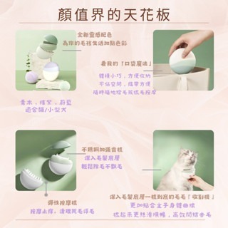 【擊掌寵物-台中】不鏽鋼二合一粉餅梳 寵物梳 寵物梳毛 寵物梳 貓梳子 貓咪梳毛 梳毛器-細節圖4