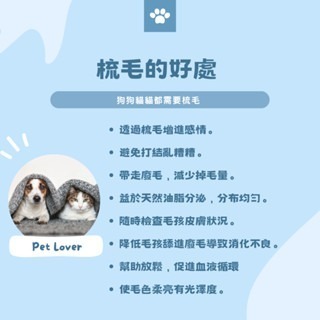 【擊掌寵物-台中】不鏽鋼二合一粉餅梳 寵物梳 寵物梳毛 寵物梳 貓梳子 貓咪梳毛 梳毛器-細節圖6