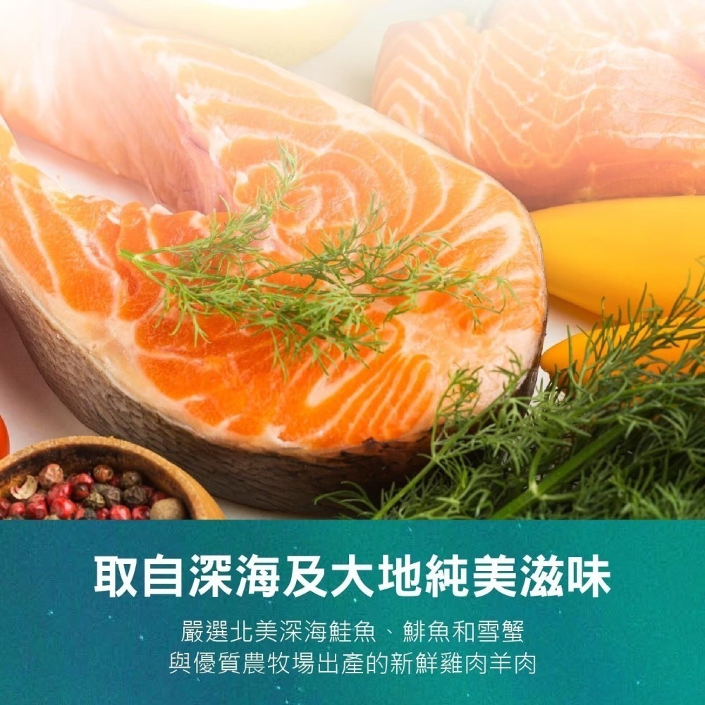 【擊掌寵物】極光 Auroria 無穀天然犬糧 1磅-5磅 狗狗飼料 全齡犬 無穀飼料 天然糧 南極磷蝦 狗糧 犬飼料-細節圖5