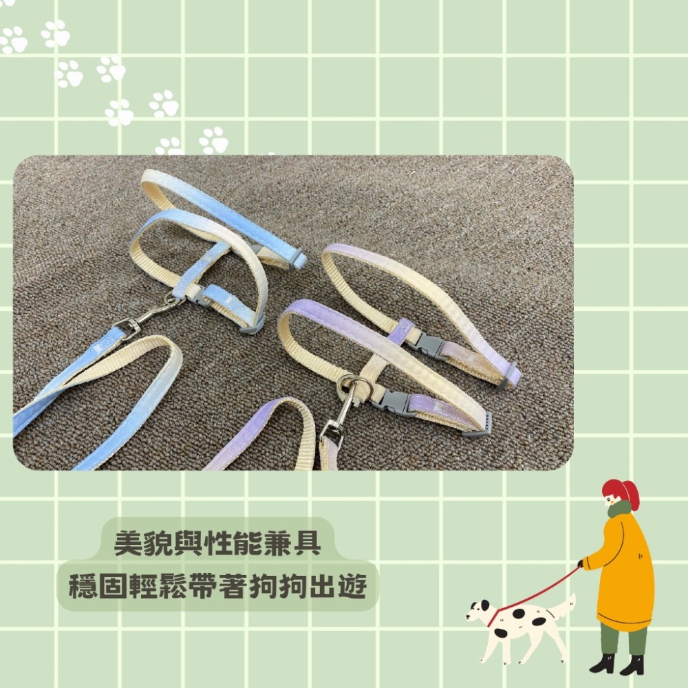 【擊掌寵物】通用漸變單牽引繩套裝 貓咪牽繩 貓牽繩 寵物胸背帶 貓咪胸背帶-細節圖2