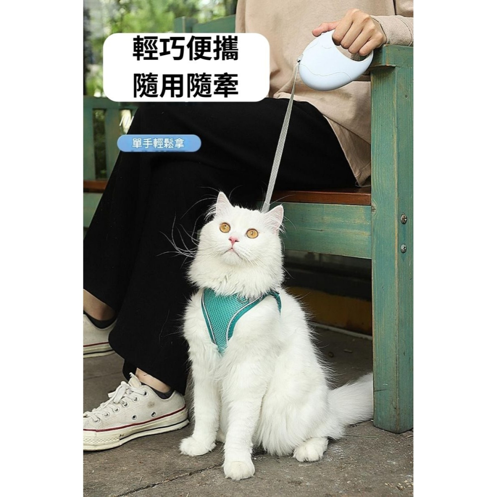 【擊掌寵物】卡諾小狗狗自動伸縮牽繩 自動牽繩 伸縮牽繩 伸縮拉繩 牽引繩-細節圖2
