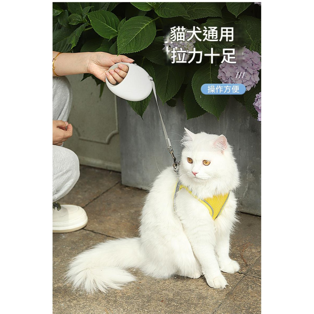 【擊掌寵物】卡諾小狗狗自動伸縮牽繩 自動牽繩 伸縮牽繩 伸縮拉繩 牽引繩-細節圖3