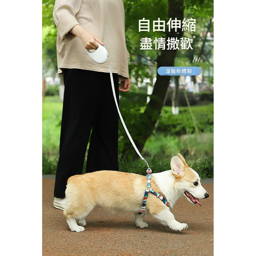 【擊掌寵物】卡諾小狗狗自動伸縮牽繩 自動牽繩 伸縮牽繩 伸縮拉繩 牽引繩-細節圖4