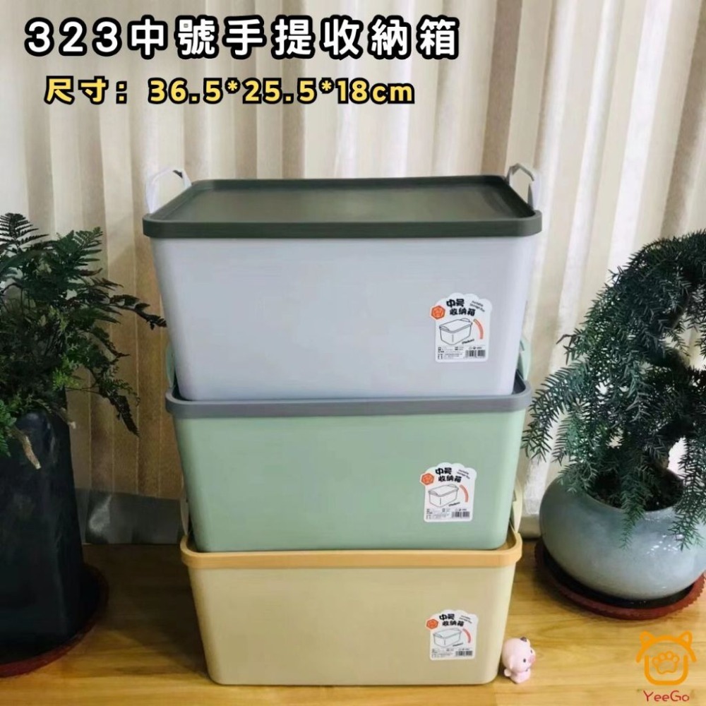 【擊掌寵物】收納箱系列 大收納箱 小收納箱 抽屜 防塵 收納櫃 收納盒 收納箱-規格圖6