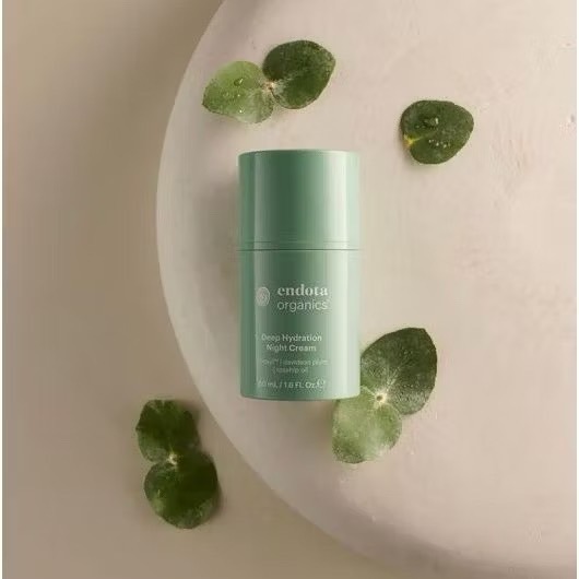 【endota】 深層水潤有機修護夜霜 Deep Hydration Night Cream 50ml  公司貨-細節圖3