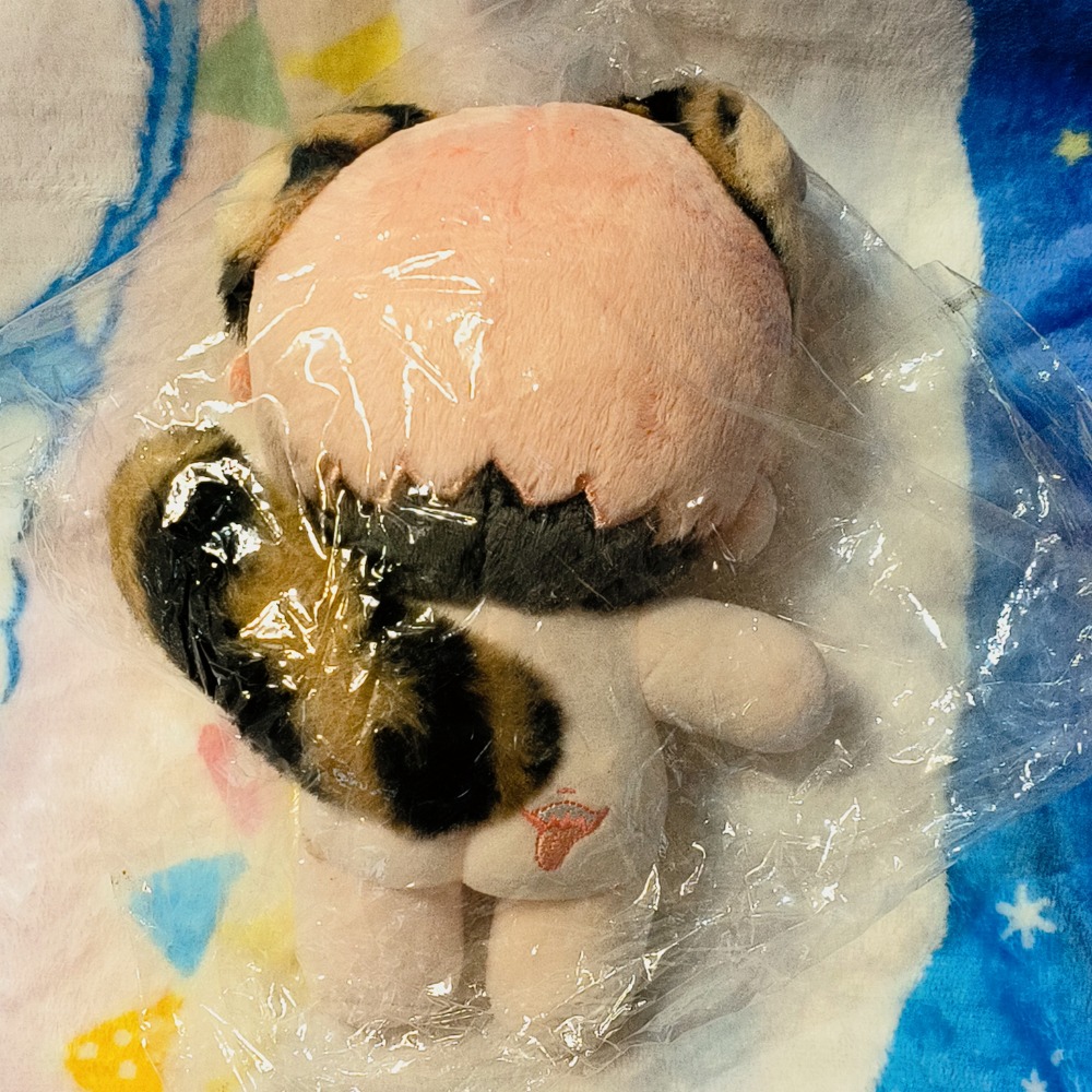 20公分娃娃 盲盒抽到的 出清-細節圖3