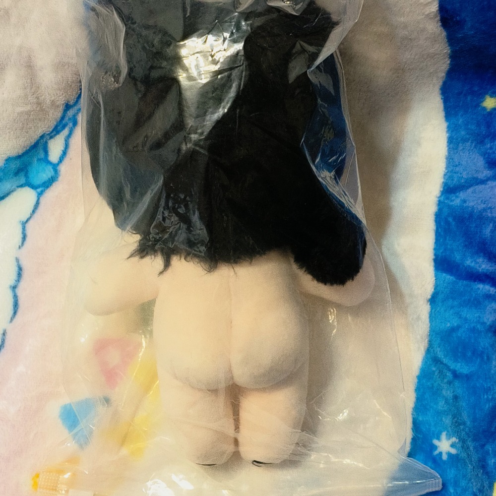 20公分娃娃 盲盒抽到的 出清-細節圖5