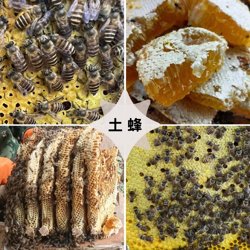 【一窩蜂蜂蜜】100%純蜂蜜｜高海拔土蜂蜜｜大自然的饋贈-細節圖2