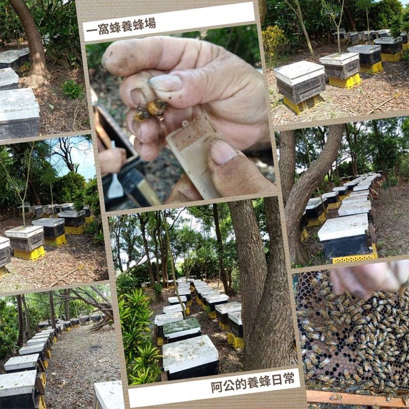 【一窩蜂蜂蜜】100%純蜂蜜｜高海拔土蜂蜜｜大自然的饋贈-細節圖3