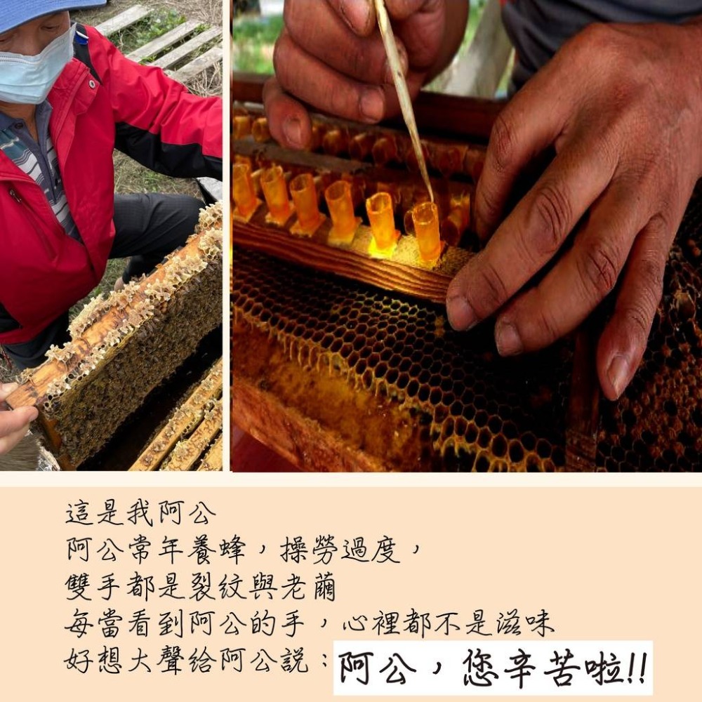 【一窩蜂蜂蜜】100%純蜂蜜｜高海拔土蜂蜜｜大自然的饋贈-細節圖7