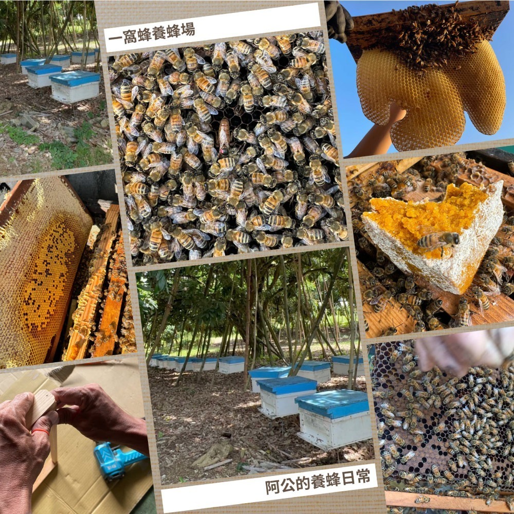 【一窩蜂蜂蜜】100%純蜂蜜｜端午蜜禮禮盒｜公司送禮｜代送服務｜暖心賀卡｜交換禮物｜團購 一窩蜂養蜂場阿公直送-細節圖5