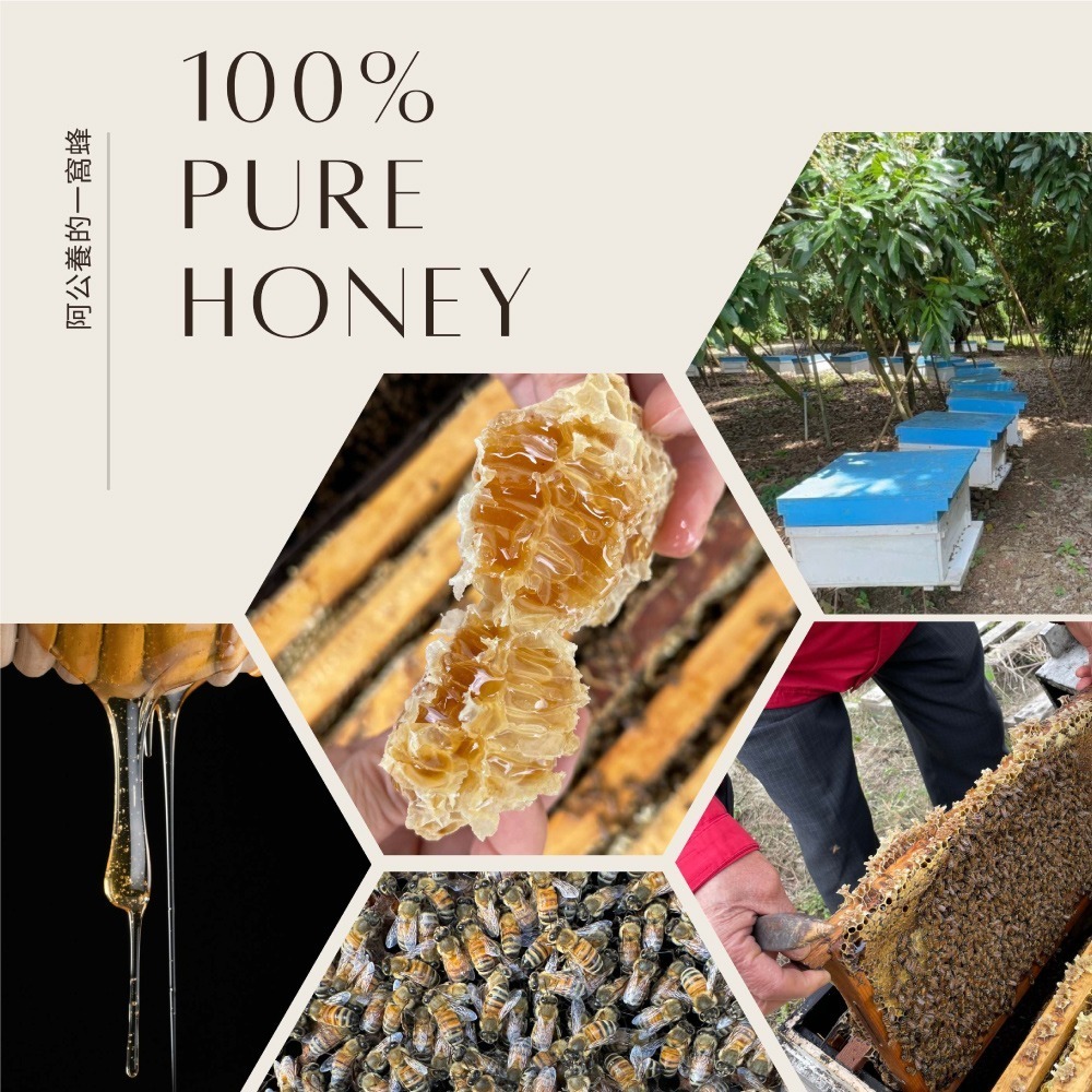 【一窩蜂蜂蜜】100%純蜂蜜｜端午蜜禮禮盒｜公司送禮｜代送服務｜暖心賀卡｜交換禮物｜團購 一窩蜂養蜂場阿公直送-細節圖6
