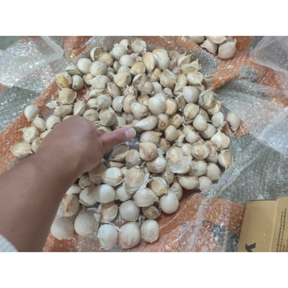 無分別快速寄件