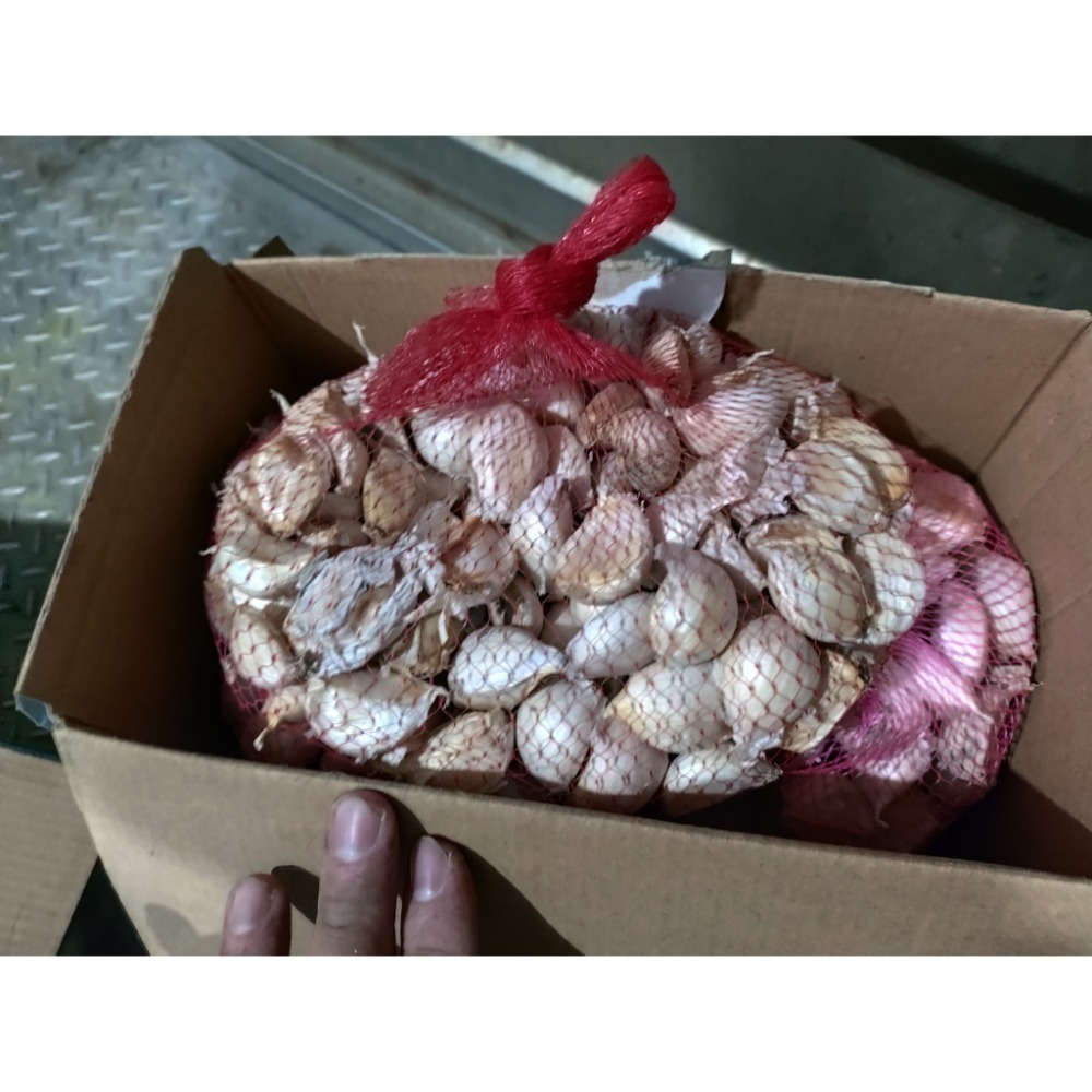 大蒜(蒜頭 )蒜 粒(球) 瓣（1臺斤裝）（*可加到16臺斤）便利商店交易取物-規格圖3