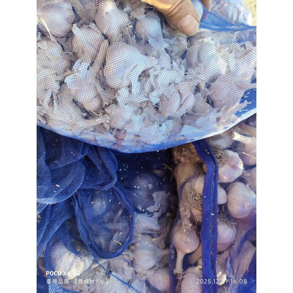 大蒜(蒜頭 )蒜 粒(球) 瓣（1臺斤裝）（*可加到7臺斤）便利商店交易取物-規格圖3