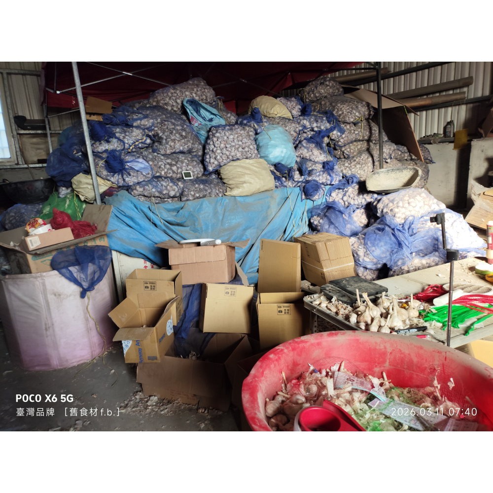 大蒜(蒜頭 )蒜 粒(球) 瓣（1臺斤裝）（*可加到7臺斤）便利商店交易取物-規格圖3