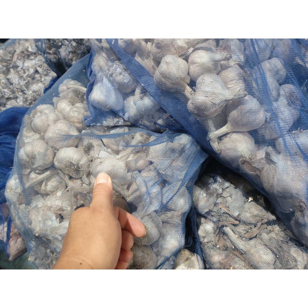 大蒜蒜頭16臺斤-細節圖2