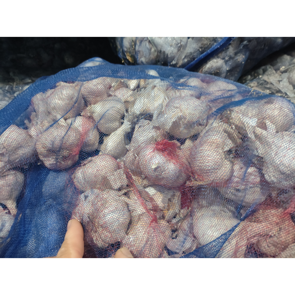 大蒜蒜頭16臺斤-細節圖3