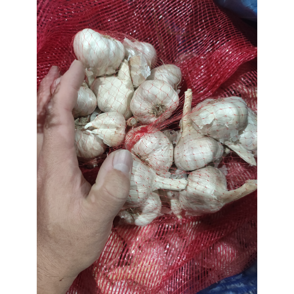 大蒜蒜頭7臺斤-細節圖3
