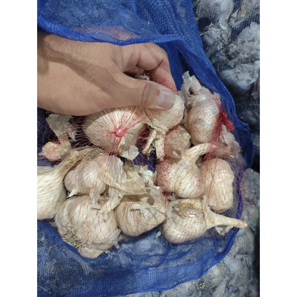 大蒜蒜頭7臺斤(火熱存放中)大蒜蒜頭7臺斤（簡易微整理無分大小類別） *秋冬請保持溫暖更耐候 （f.b.舊食材）-細節圖2