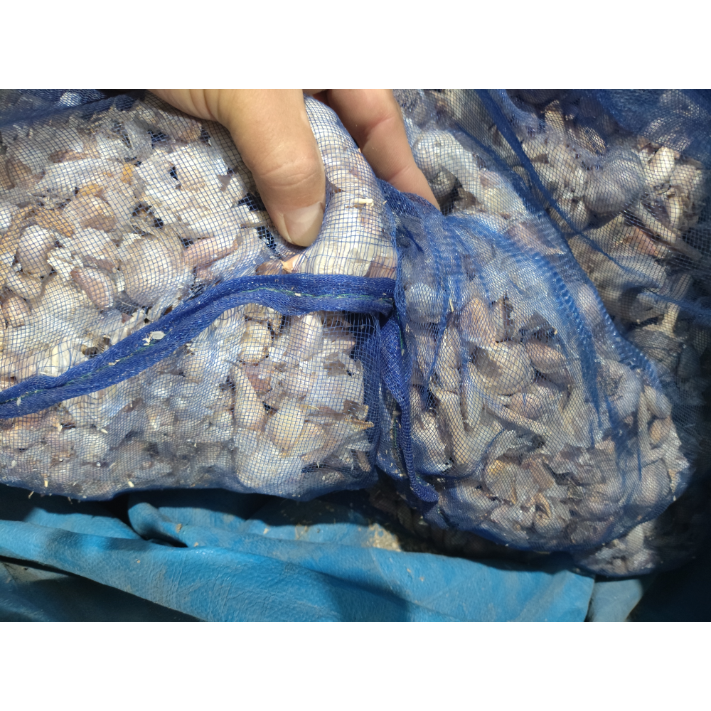 大蒜蒜頭 （最細微的蒜）（N.G.）臺灣雲林（1臺斤）［秋冬許進行保持溫熱存放］-細節圖2