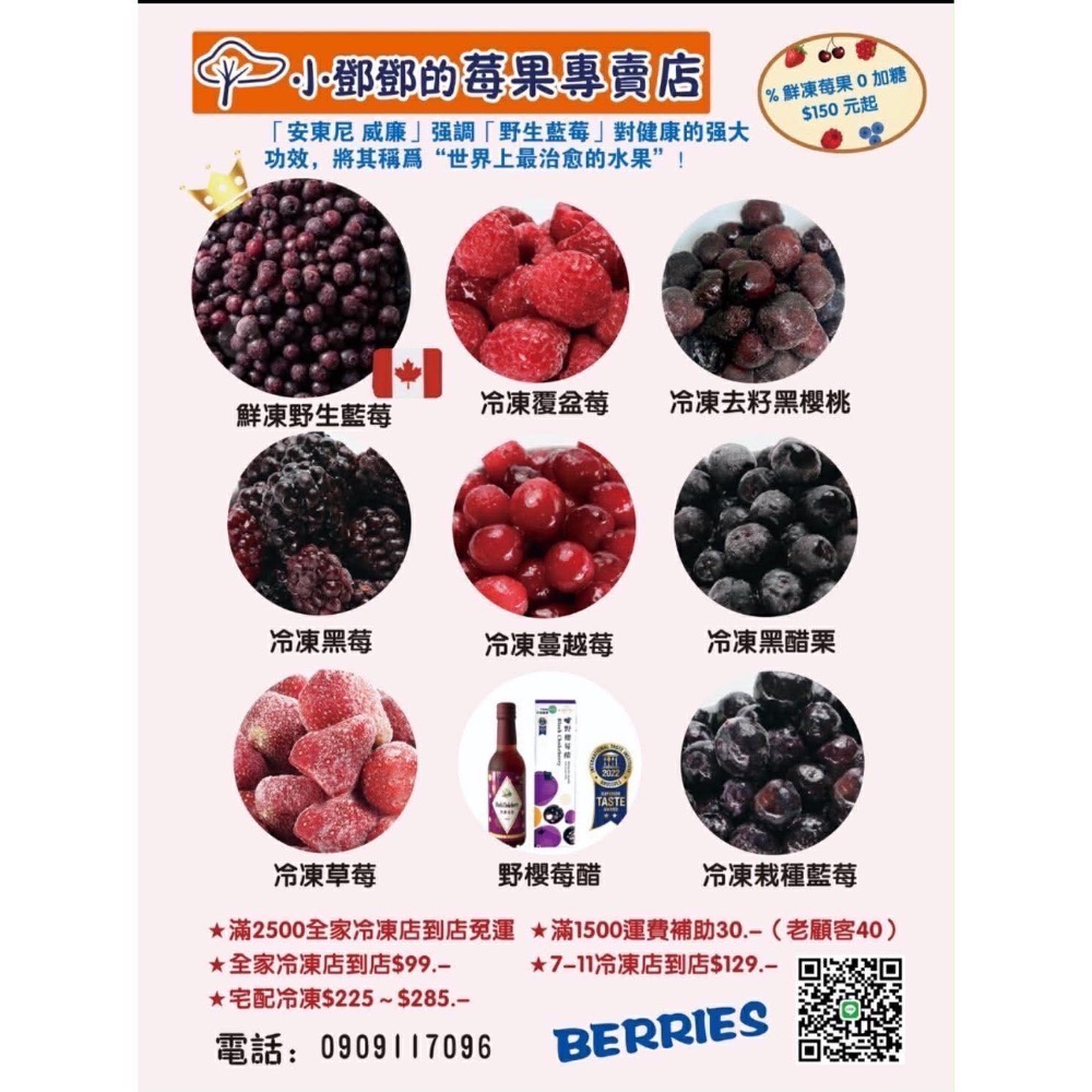 🉐運費補助/現貨🇨🇦加拿大冷凍野生藍莓-細節圖3