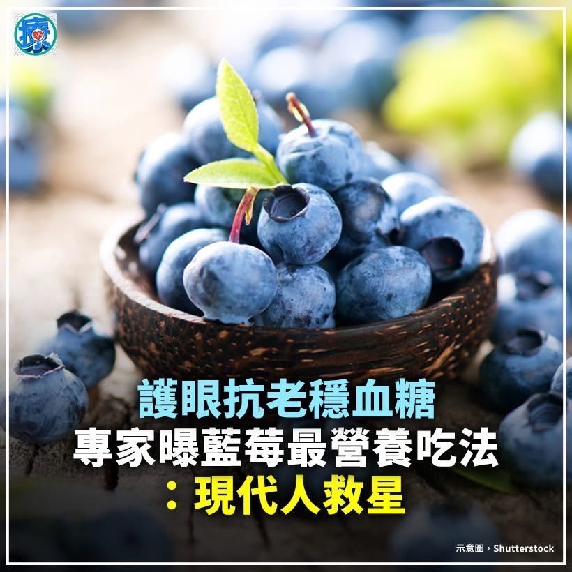 現貨+免運🇨🇦超值9公斤@加拿大野生藍莓-細節圖2