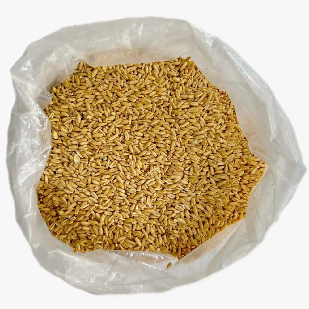 《養生必備》精選營養穀物 #現貨 #營養-細節圖6