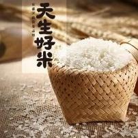 ✨富里香米✨6公斤裝剛剛好💕《東田香米》 6KG（請選擇蝦皮店到家或是黑貓宅配）#現貨-細節圖2