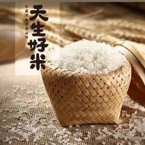 🌾愛護資源又美味💕來自花東的生態好米！台梗9號米  2KG（一單最多2包）#現貨-細節圖3