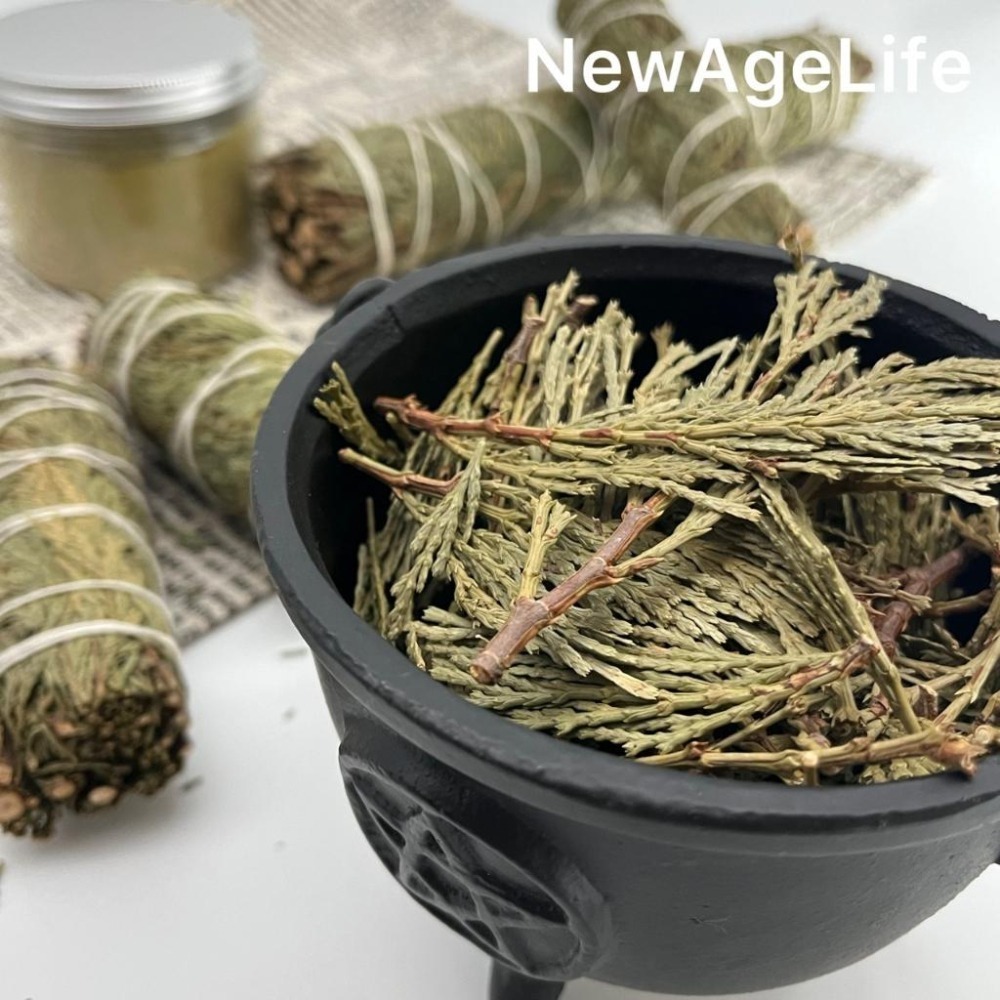 【NewAgeLife】 雪松 淨化 魔法結界 轉運 抵禦 保護 金錢  鼠尾草 招財 能量 香 鮑魚殼 薰香 神聖雪松-細節圖4
