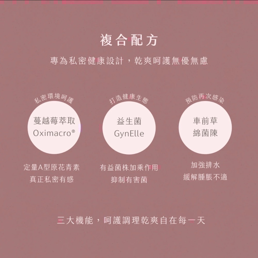 輕輕茶湊團-細節圖4