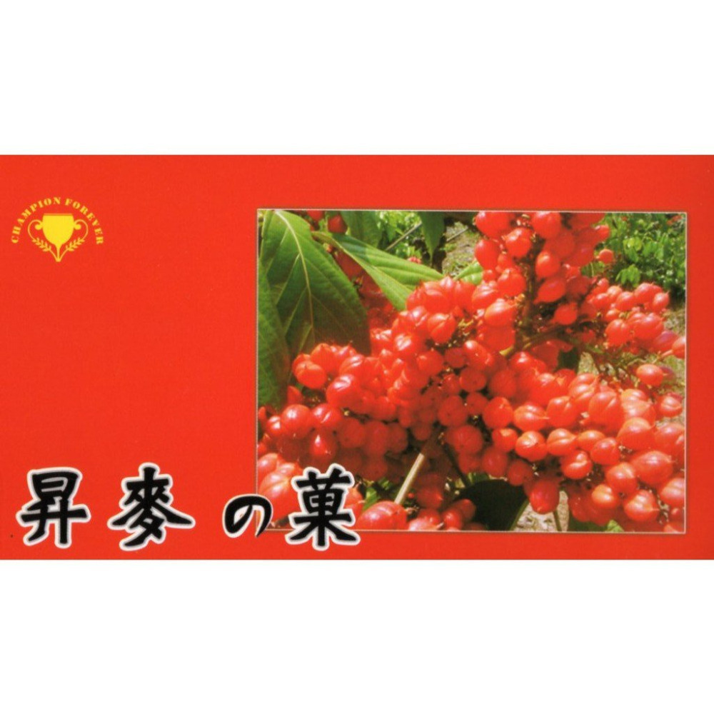 【冠永立】原裝進口巴西菓王【瓜拿納GUARANA】 巴西瓜拿納粉買10送1-細節圖3