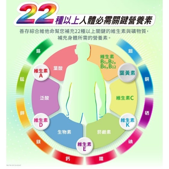 銀寶善存50+   男性綜合維他命 290錠-細節圖4