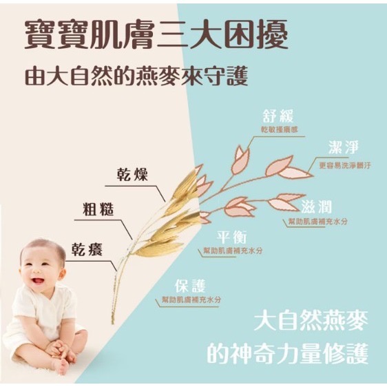 艾惟諾 嬰兒燕麥洗髮沐浴露532毫升 X 2入-細節圖4