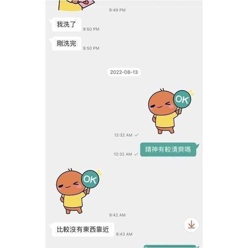 【五善堂】清淨符｜手書靈符 破穢 驅陰 淨宅 淨身 探病掃墓必備-細節圖4