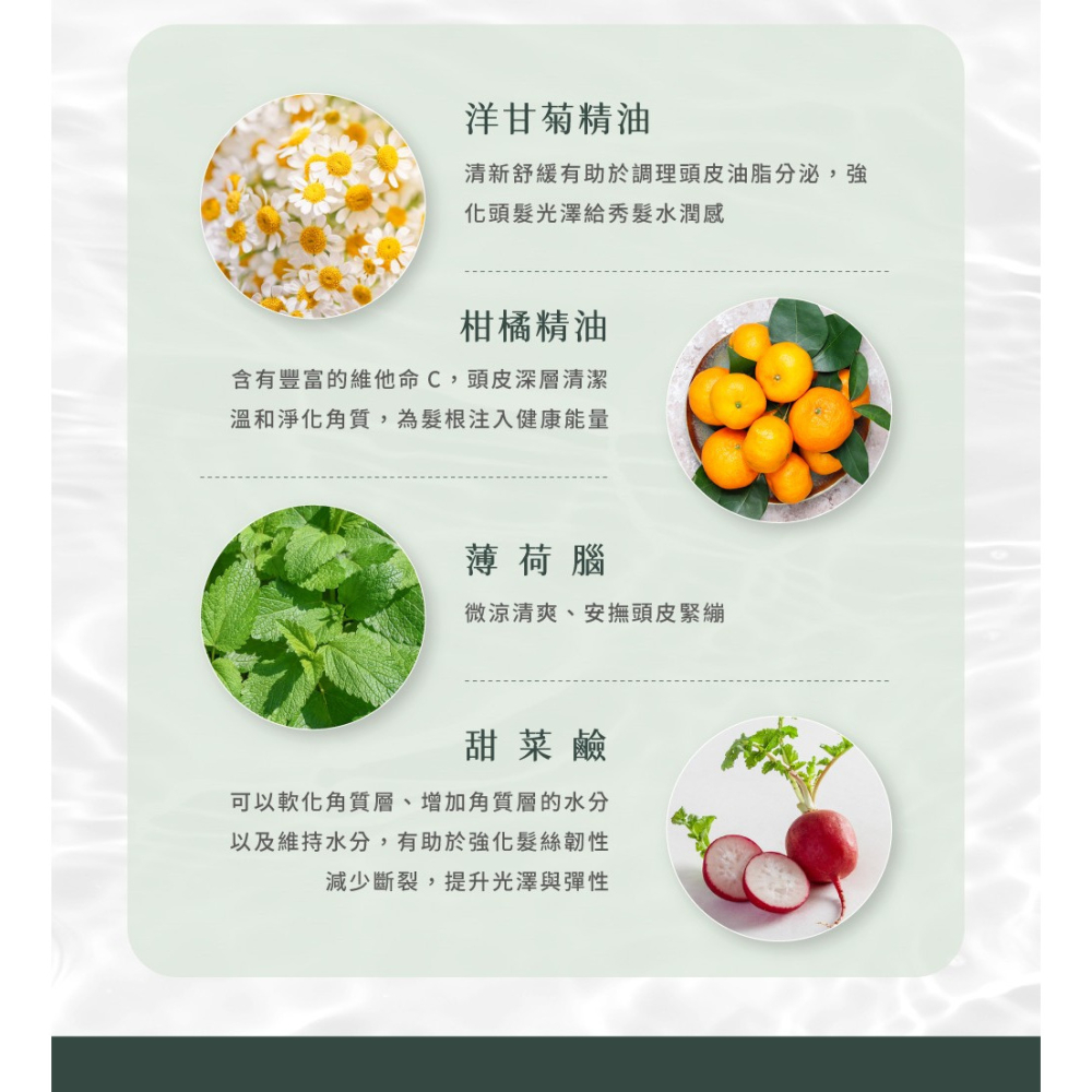長髮公主的秘密 頭皮去角質凝膠 120ml-細節圖6