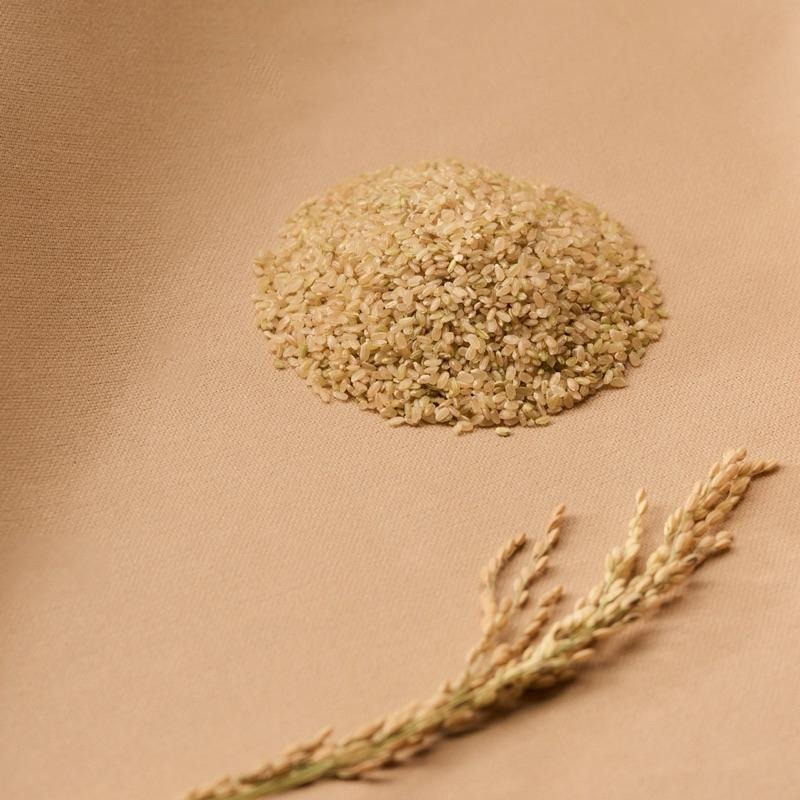 【咕榖】台灣越光米 台南十六號  白米 糙米 胚芽米 自然農法 無農藥 無化肥 現碾米 現碾白米-細節圖3