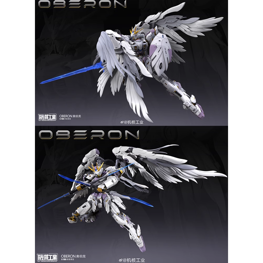 天衛-奧伯龍 陸製拼裝模型  1/100 全拼裝骨架-細節圖3