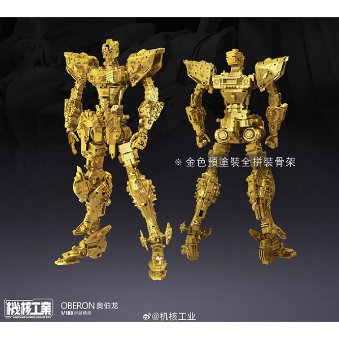 天衛-奧伯龍 陸製拼裝模型  1/100 全拼裝骨架-細節圖5