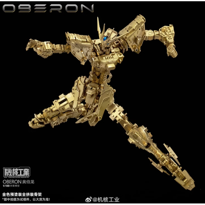 天衛-奧伯龍 陸製拼裝模型  1/100 全拼裝骨架-細節圖6