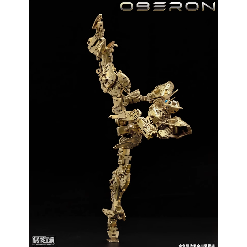 天衛-奧伯龍 陸製拼裝模型  1/100 全拼裝骨架-細節圖7