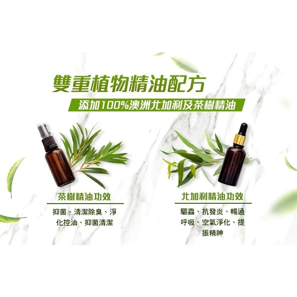 (免運)極淨-茶樹尤佳利精油地板清潔劑4L(4罐/箱)(偏遠地須加運費)-細節圖2