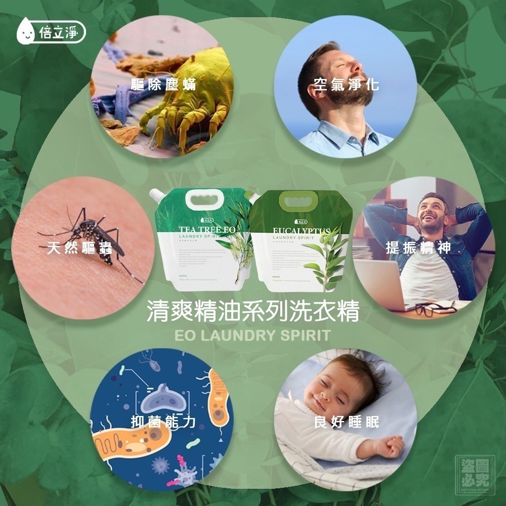 (此廠商出貨較慢)(免運)倍力淨-澳洲尤加利/茶樹精油系列洗衣精補充包4L(可混)(4袋/箱)-細節圖5