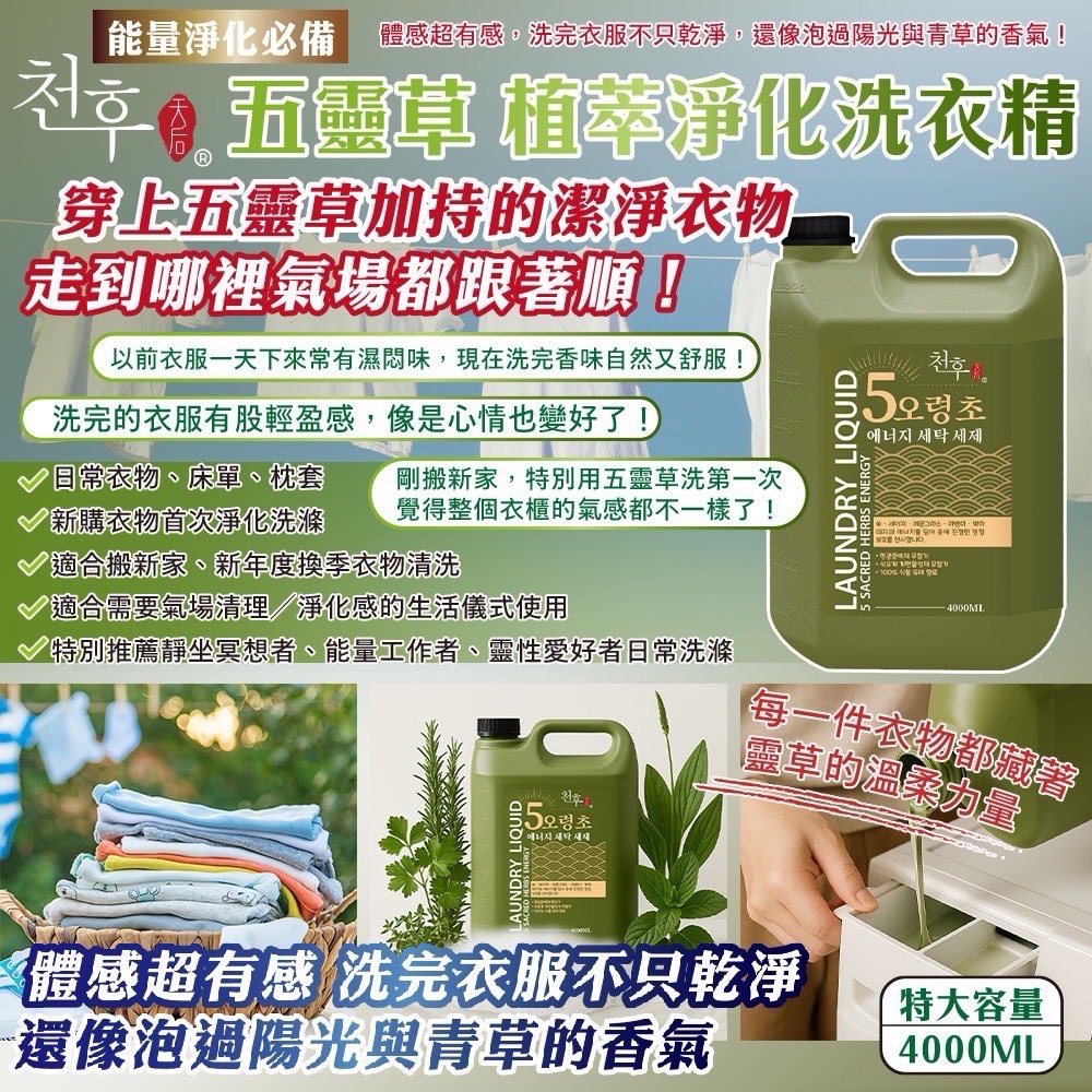 (免運)天后-五靈草植萃淨化洗衣精4000ml(5罐/箱)(偏遠地區需額外加運費)-細節圖2