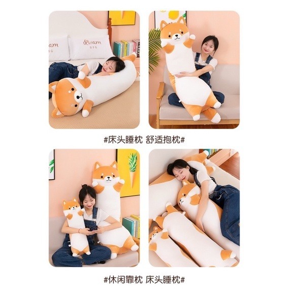 新 柴犬 小狗 狗狗 狗 動物 長條 抱枕 陪睡抱枕 枕頭夾腿抱枕禮品毛絨玩偶/午安枕/聖誕節生日禮物/動物/七夕情人-細節圖5