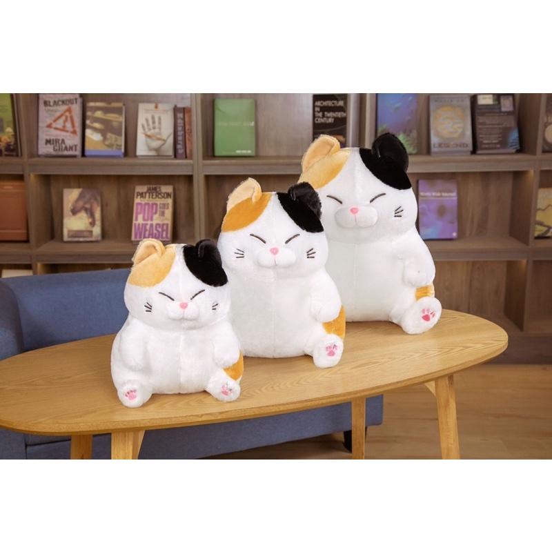 鬍子貓 福氣 黑貓 花貓 圓嘟嘟貓咪 貓 喵星人 抱枕 玩偶 娃娃 聖誕節 情人節 生日 禮物-細節圖5