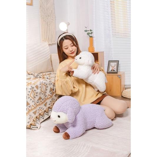 羊 綿羊 家羊 白羊 長抱枕 抱枕 玩偶 娃娃 公仔 靠腰 枕頭-細節圖3
