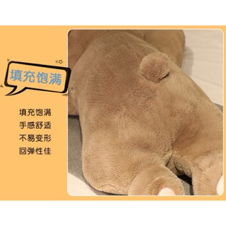 趴趴熊 趴熊貓 北極熊 熊貓 棕熊 動物 長條 抱枕 男朋友抱枕 靠腰 靠墊 靠枕 枕頭 生日 情人節 禮物-細節圖8